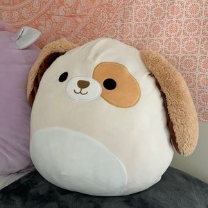 Meet your Posher, Lindsey